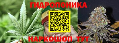 мет Новозыбков