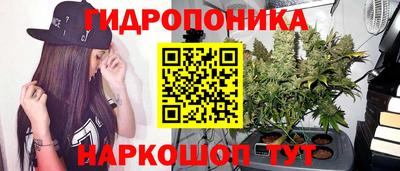 МДМА Новодвинск