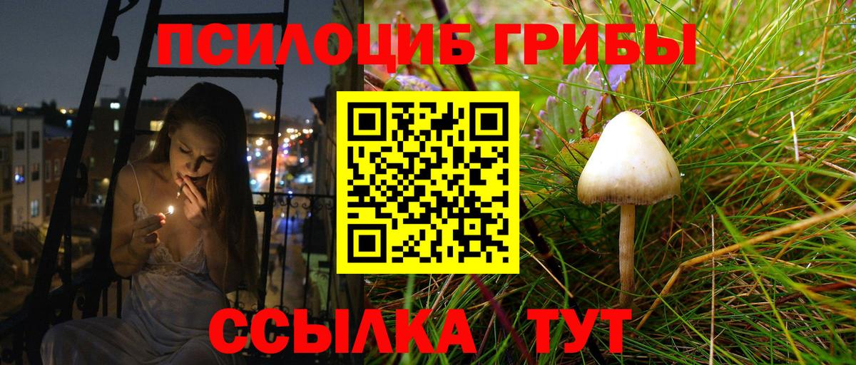 Тольятти  Псилоцибиновые грибы прущие грибы  даркнет сайт  Вход с VPN 
