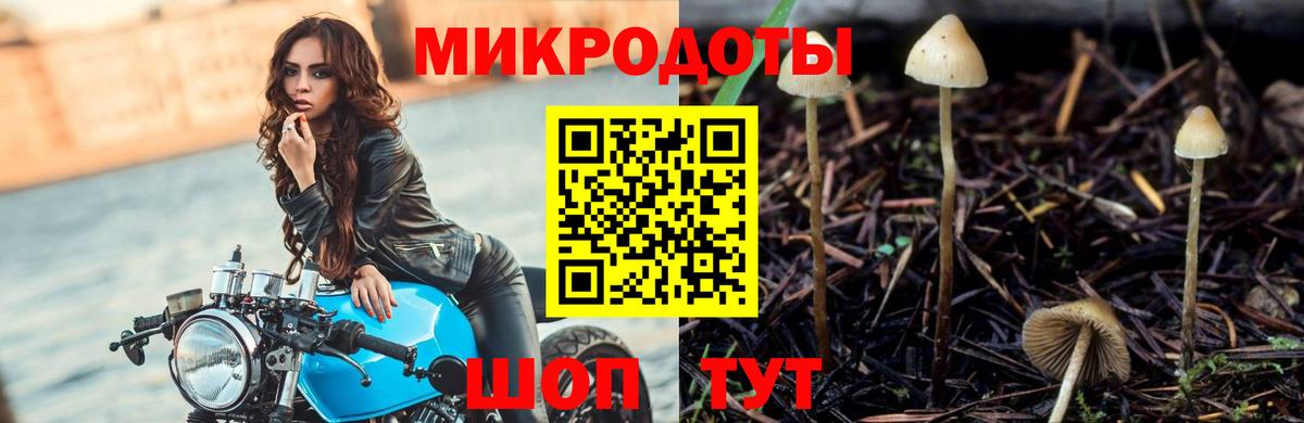 Галлюциногенные грибы мухоморы Тольятти