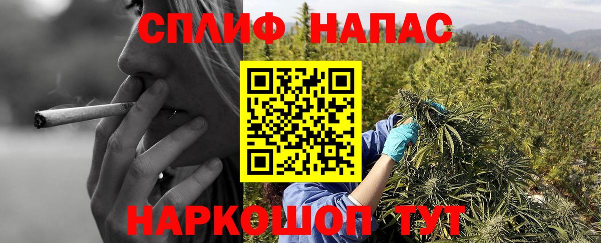 Тольятти  Канабис конопля  Шишки марихуана сатива  Конопля Bruce Banner  Вход с VPN  Шишки марихуана ГИДРОПОН 